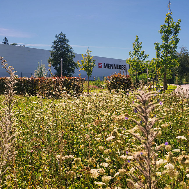 Blühende Wiese mit wilden Blumen im Vordergrund und dem MENNEKES-Gebäude im Hintergrund, unter einem klaren blauen Himmel