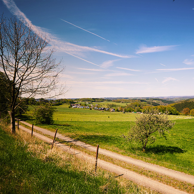 Blick auf eine weite, grüne Landschaft mit einem Feldweg im Vordergrund